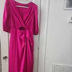 Express Magenta Dress